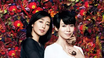 おはなしのくに 1312 木村多江小狐狸买手套 中字 哔哩哔哩 Bilibili