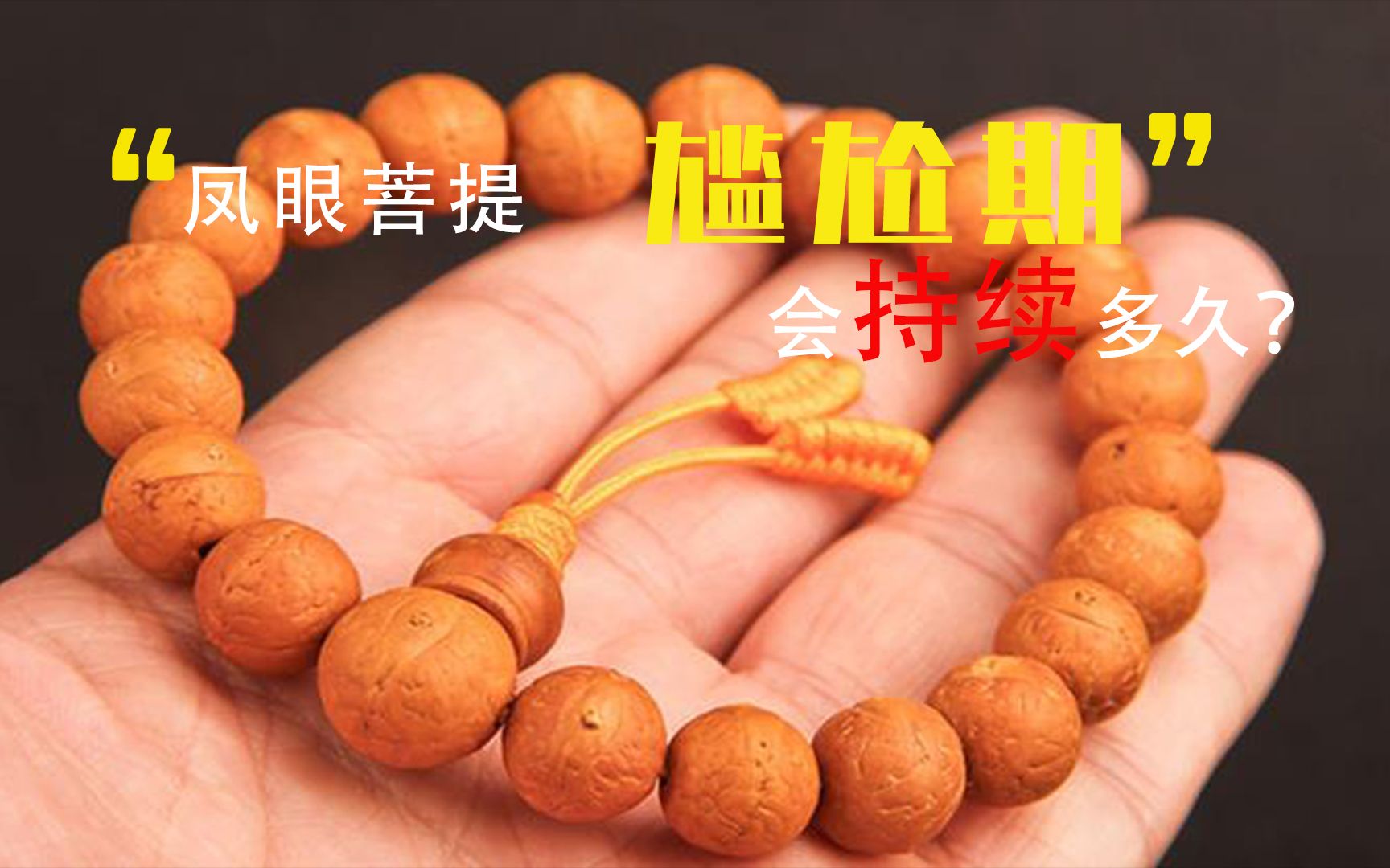 凤眼菩提有尴尬期?什么是尴尬期?会持续多久呢?