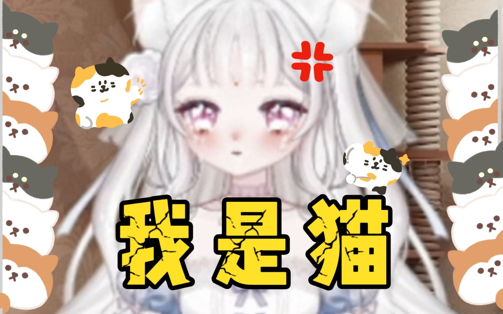 我真的是猫!!!哔哩哔哩bilibili