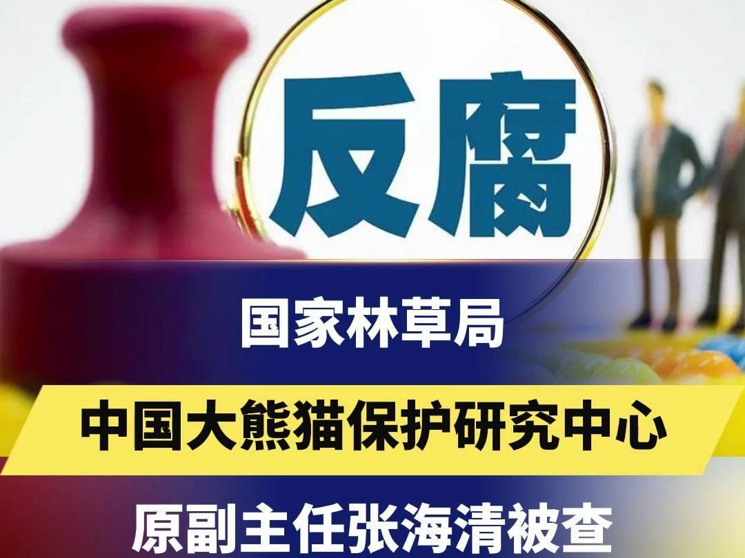 国家林草局中国大熊猫保护研究中心原副主任张海清被查哔哩哔哩bilibili