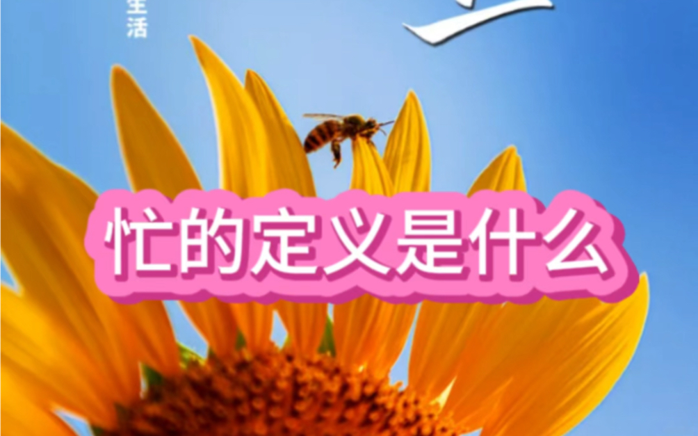 忙的定义是什么?哔哩哔哩bilibili