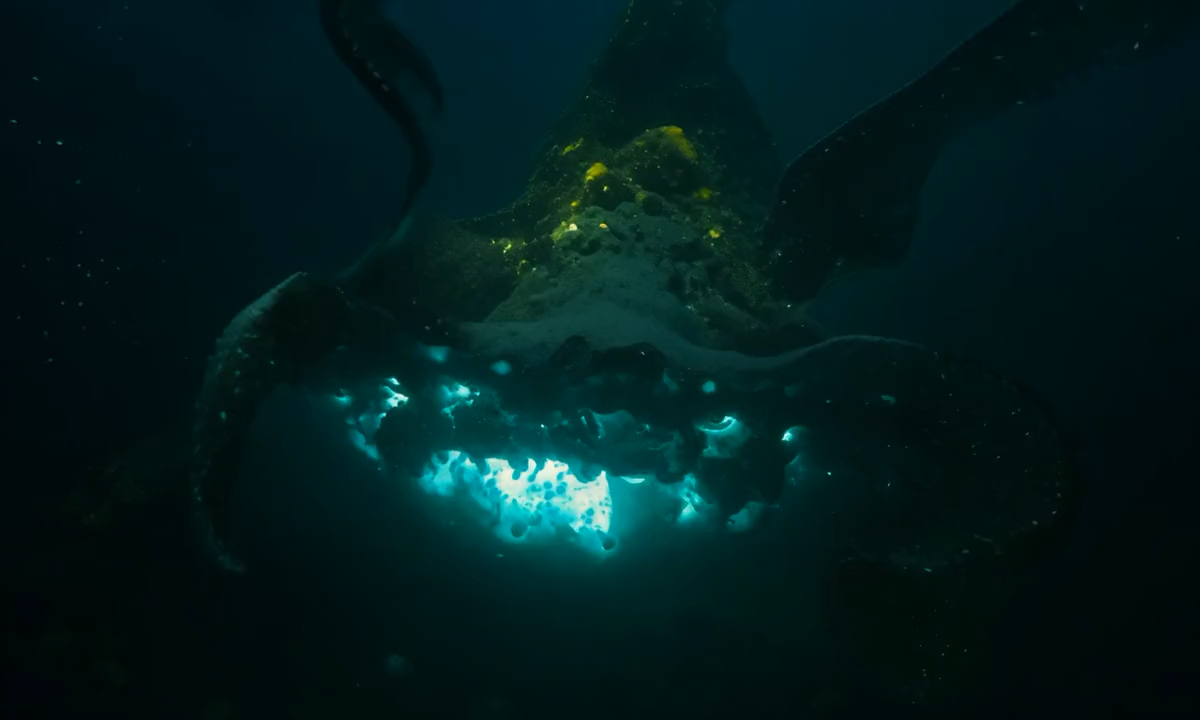 海底有哪些生物 恐怖图片