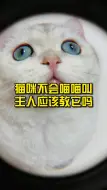 Download Video: 猫咪不会喵喵叫，主人应该教它吗