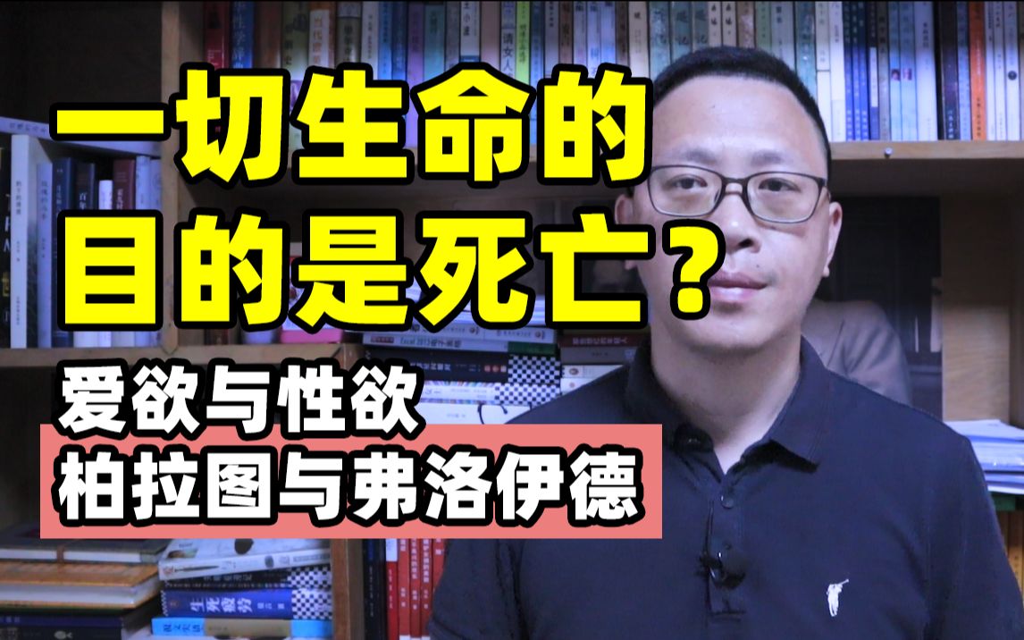 你有多久没感受到爱的激情了?哔哩哔哩bilibili