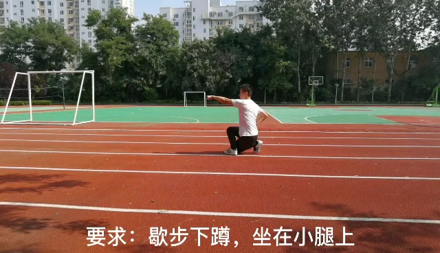 十步拳