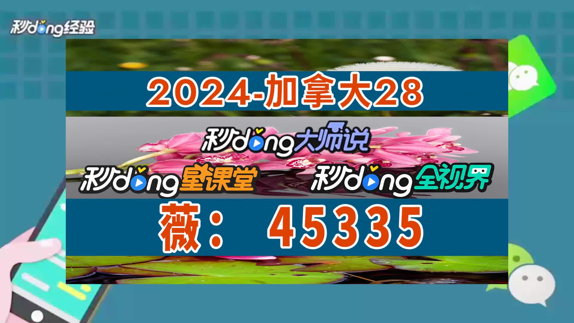 六分解说28加拿大靠谱微信投注群