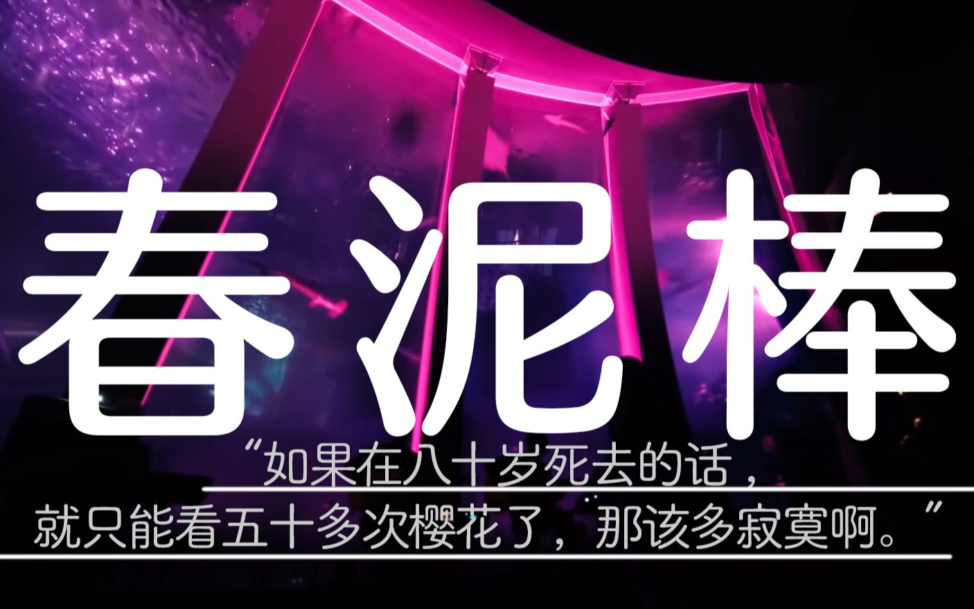 【ヨルシカlive 】Yorushika夜鹿2023月光与猫共舞演唱会名古屋站记录