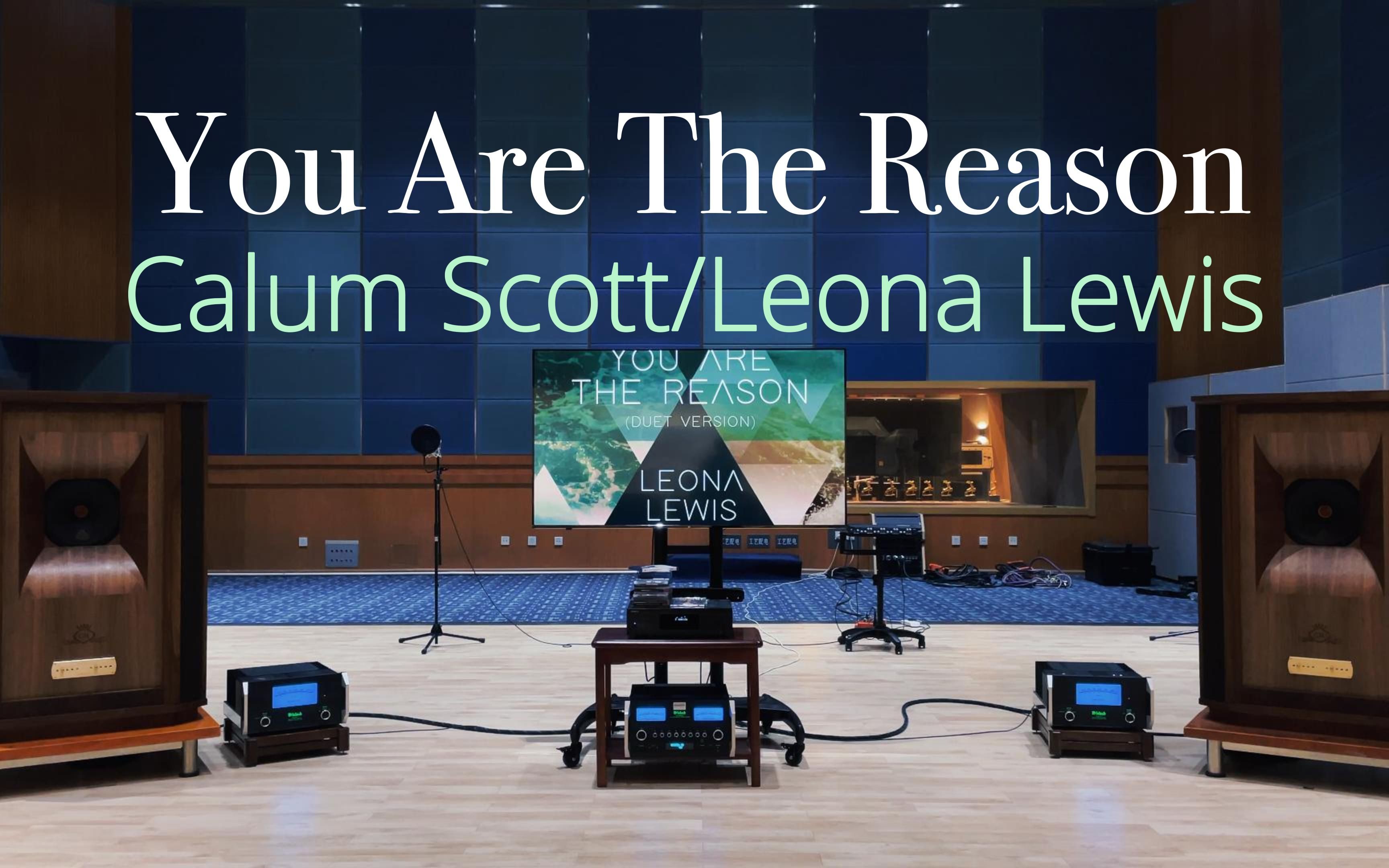 [图]用百万级豪华装备试听《You Are The Reason (Duet Version)》- Calum Scott/Leona Lewis【Hi-Res】