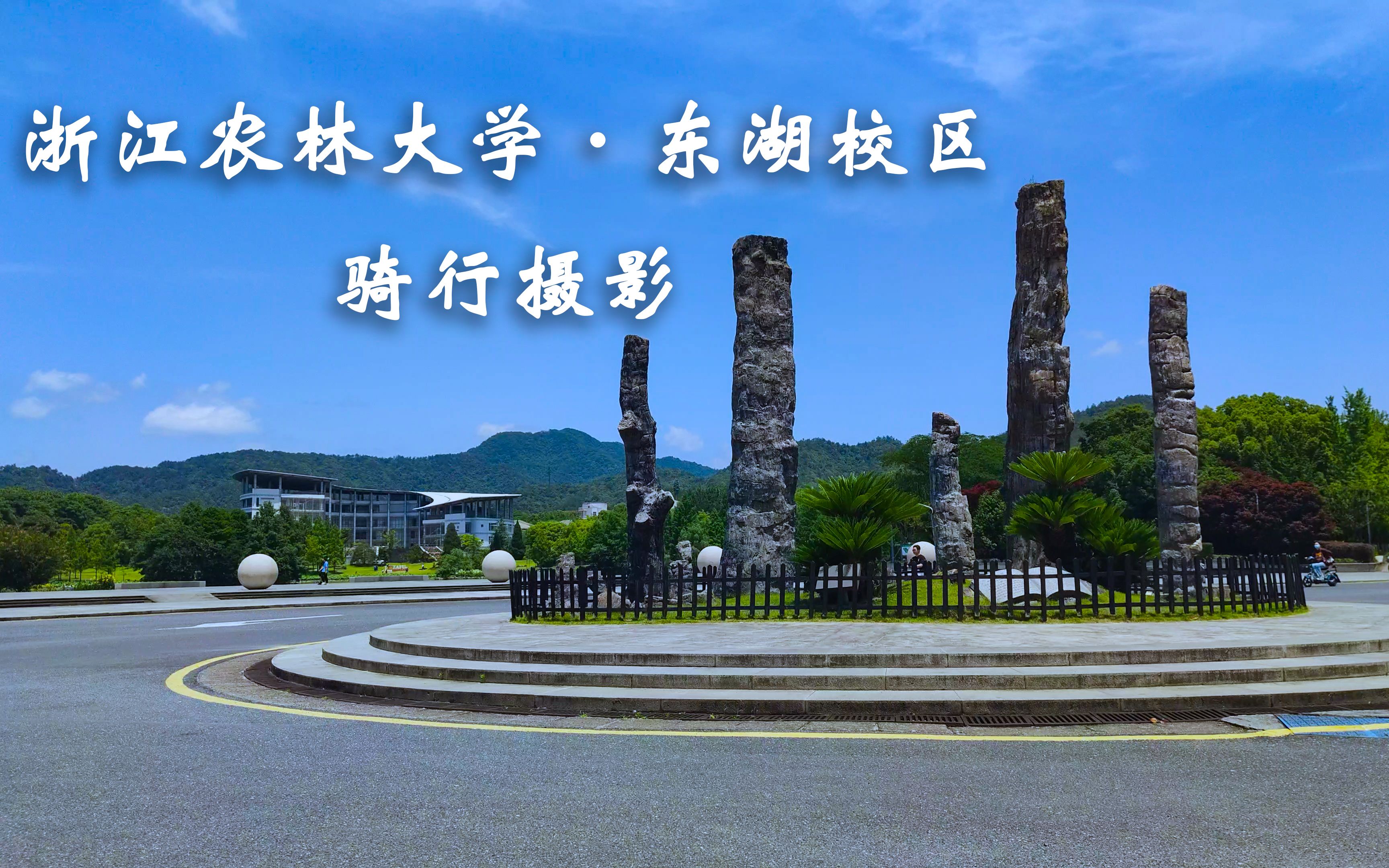 浙江农林大学校区图片