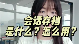 会话存档是什么？怎么用？