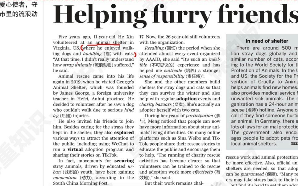 [图]Amy老师带你一起阅读报刊-21世纪报Helping furry friends