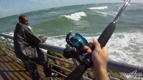 Blacktip Shark Caught from Shore 