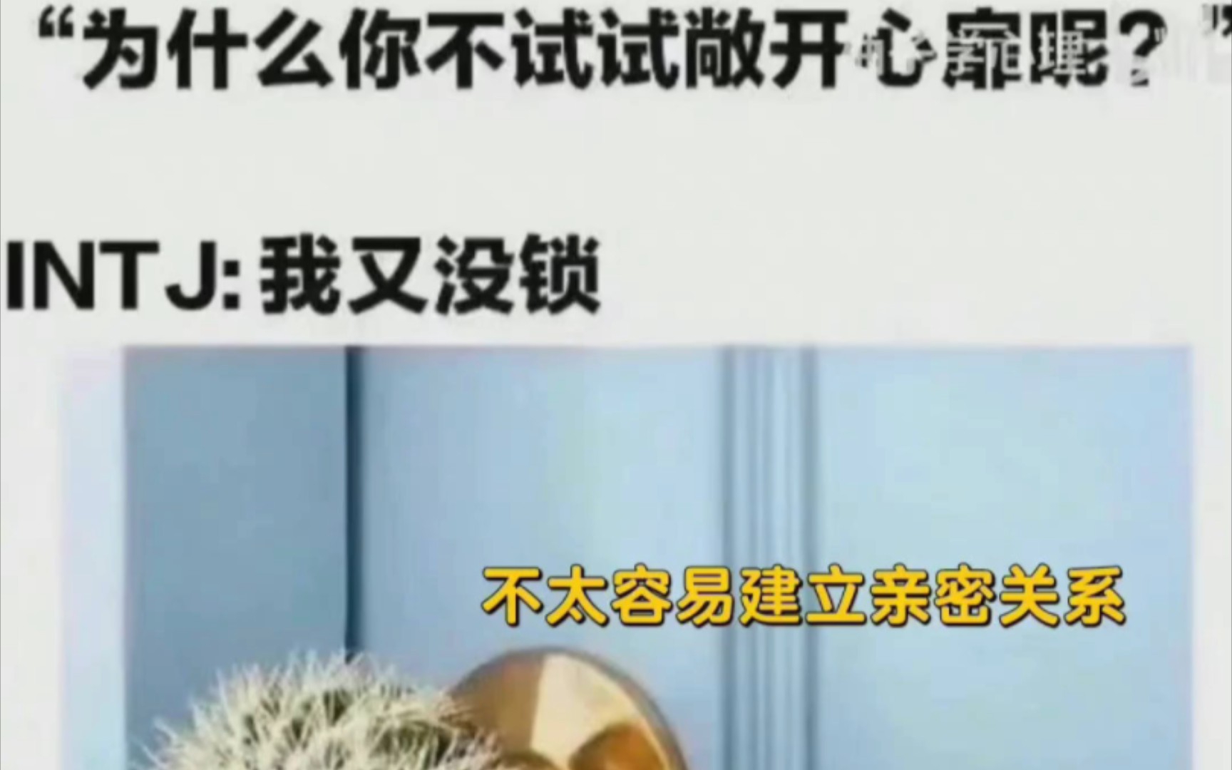 MBTImemes|INTJ特别版3_哔哩哔哩_bilibili