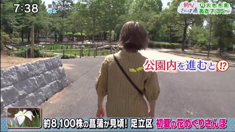 朝の さんぽ道 旅人 Imalu 生肉 哔哩哔哩 Bilibili 朝の さんぽ道 旅人 Imalu 生肉 哔哩哔哩 Bilibili