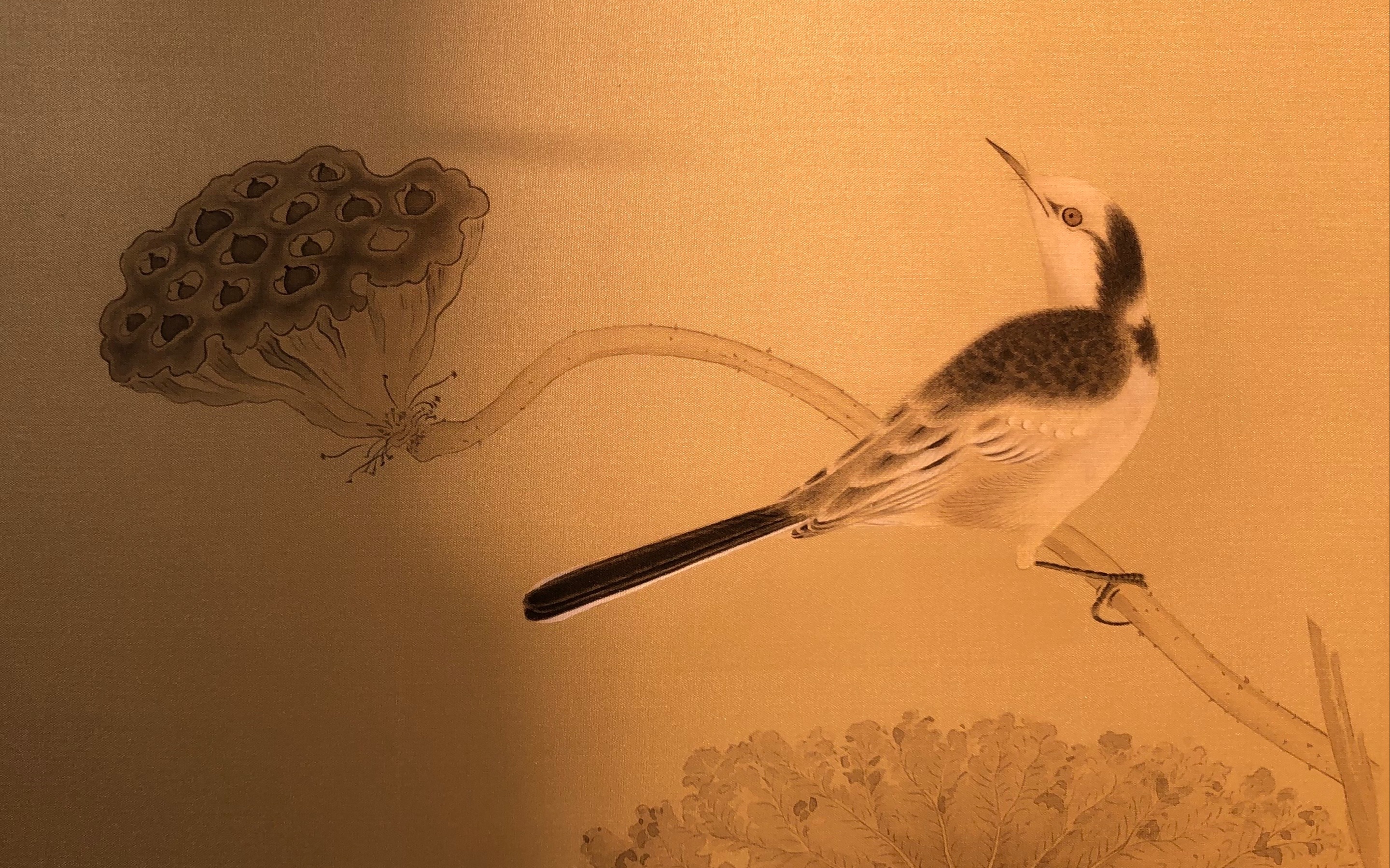 宋代工笔花鸟画临习 疏荷沙鸟图