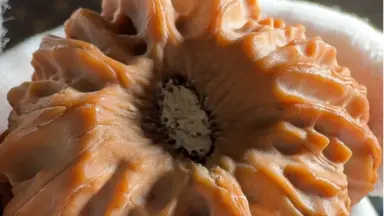 龙门涧核桃-哔哩哔哩_Bilibili