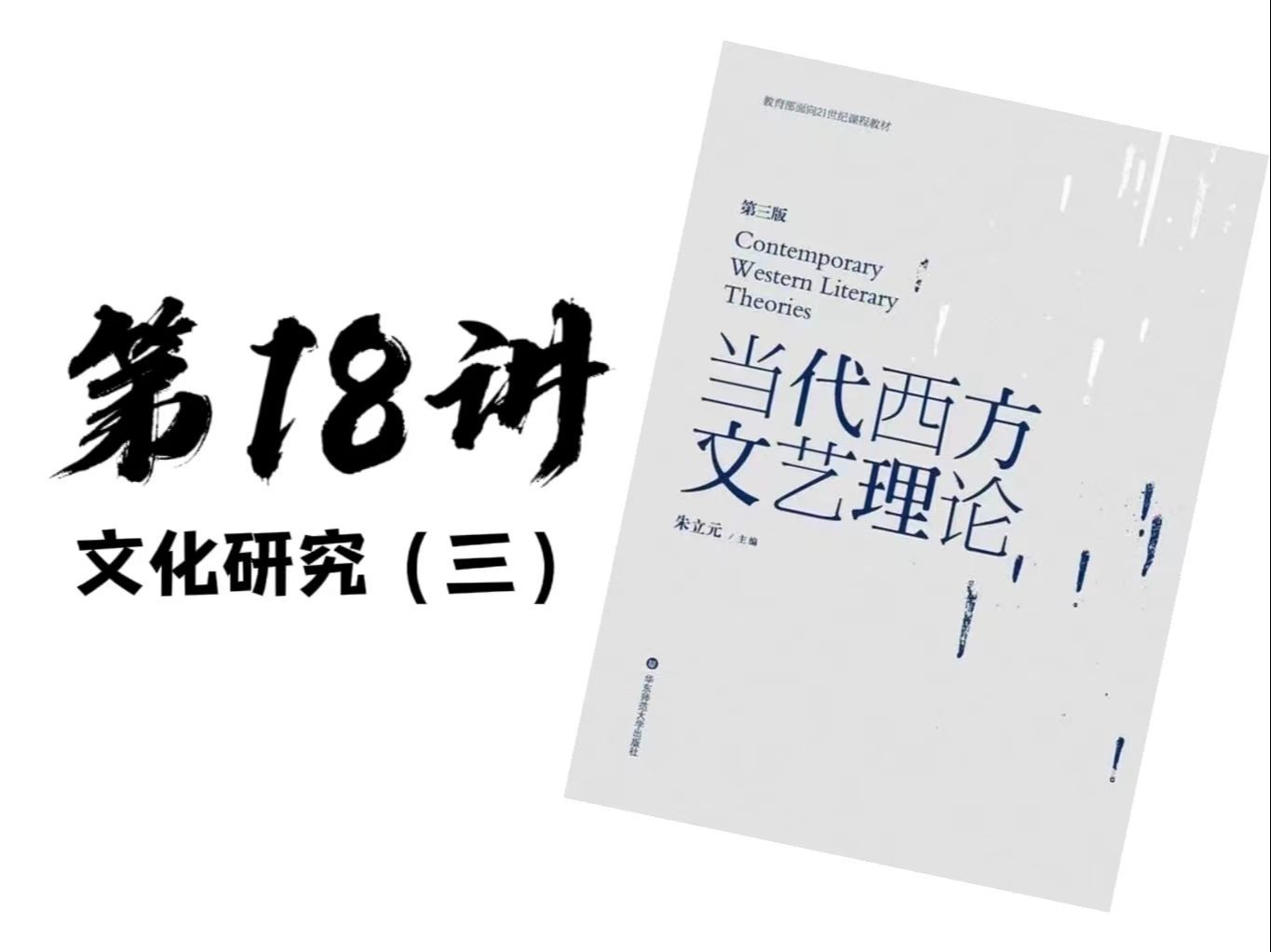 当代西方文艺理论 #第18讲:文化研究(三)(霍尔、赛义德)【总29】哔哩哔哩bilibili