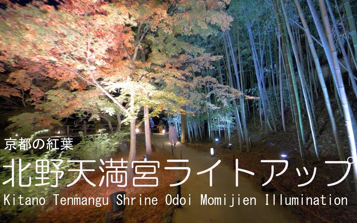 紅葉 京都 北野天滿宮 kitano tenmangu shrine odoi momijien