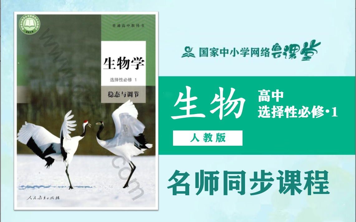 【高中生物课程】人教版高二生物学选择性必修一名师同步课程,高中二年级上册生物选修1名师课堂(附配套PPT课件教学设计下载),2021年最新高二生...