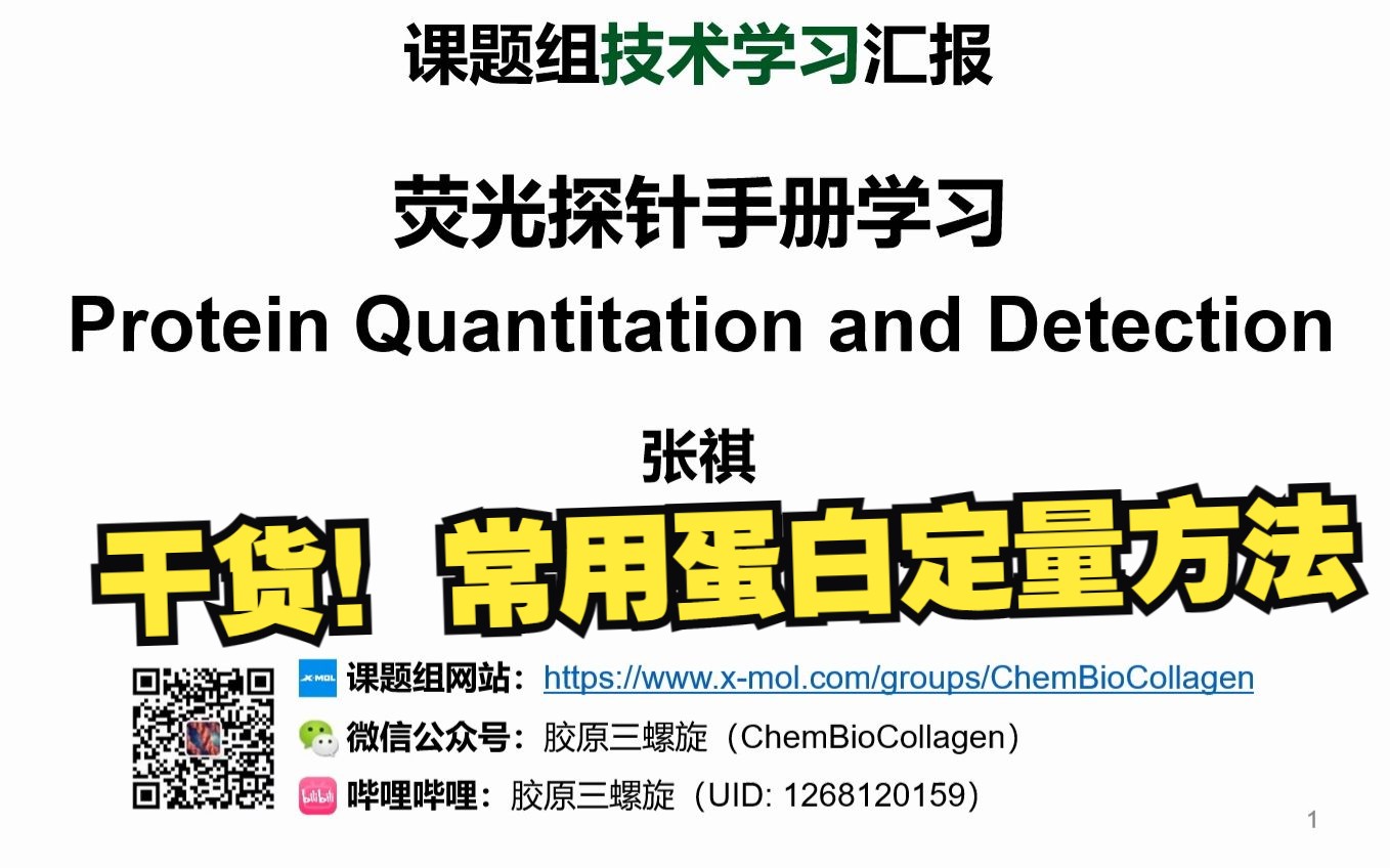 【原理学习】蛋白定量与蛋白检测的方法及原理介绍哔哩哔哩bilibili