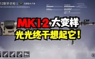 Télécharger la video: 冷门连狙MK12大变“样”，光光终于想起它了！