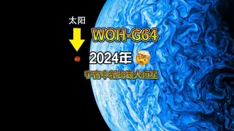 Download Video: 2024年，宇宙中最大恒星的榜一大哥或再次易主