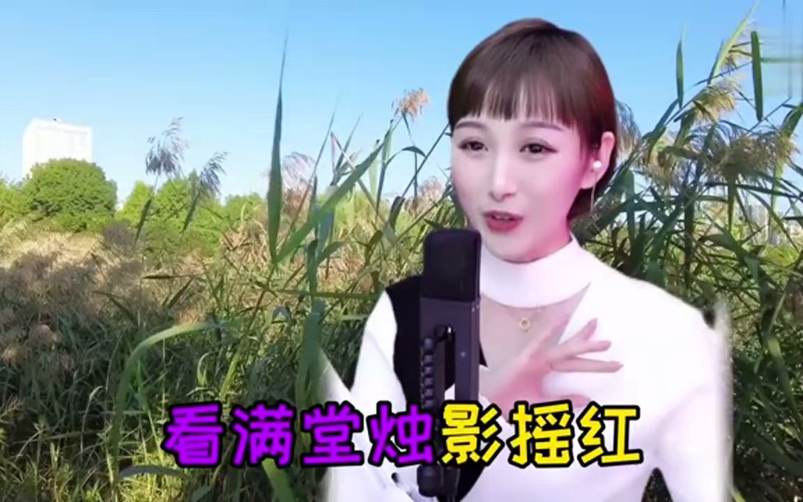 梁红九九女儿红图片