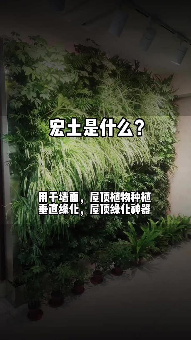 宏土是什么?墙面种植植物神器! #垂直绿化 #植物墙 #四川天海铭园 #立体绿化哔哩哔哩bilibili