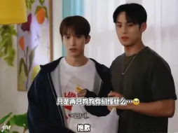 Video herunterladen: 不要在怪狗勾了 无辜且大只  胆小且强壮#李硕珉#金珉奎#seventeen