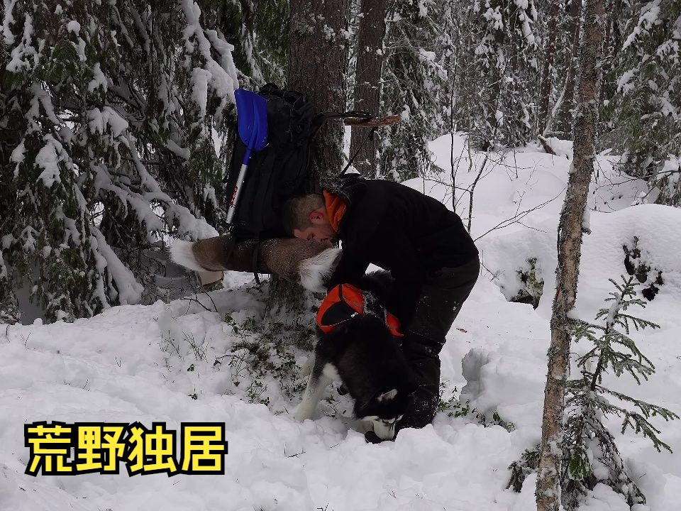 荒野獨居:外國大神一人一狗的雪地露營