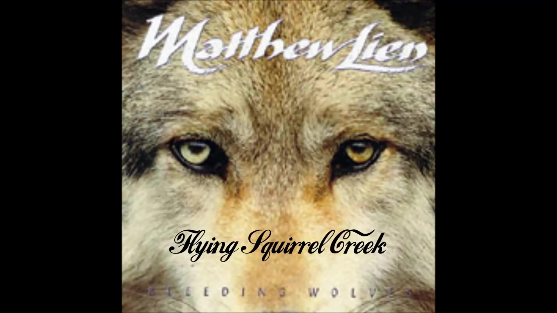 [图]【凯尔特風音乐】Matthew Lien -Flying Squirrel Creek