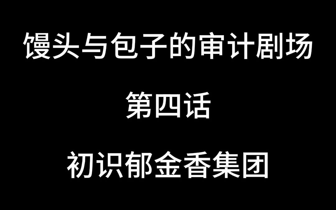 跟着馒头从初级审计员到项目经理吧,系列持续更新...哔哩哔哩bilibili