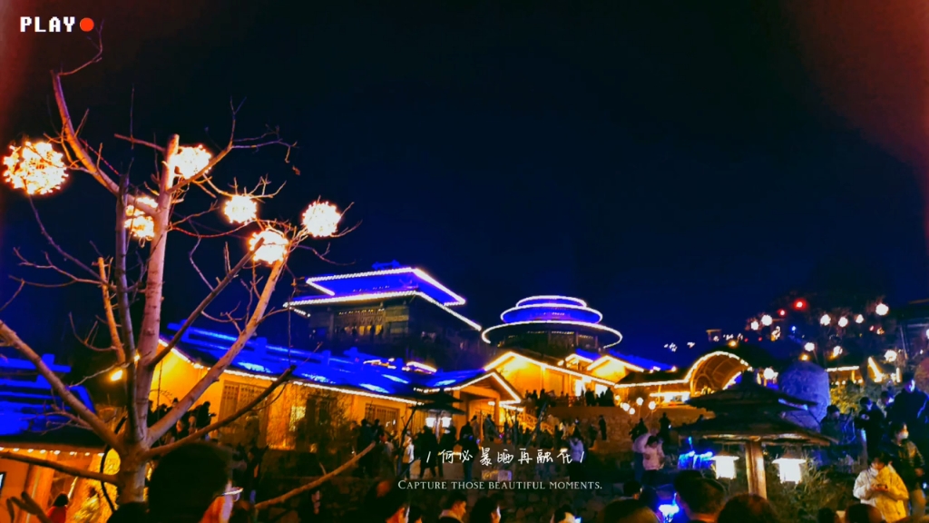 万泉湖夜景