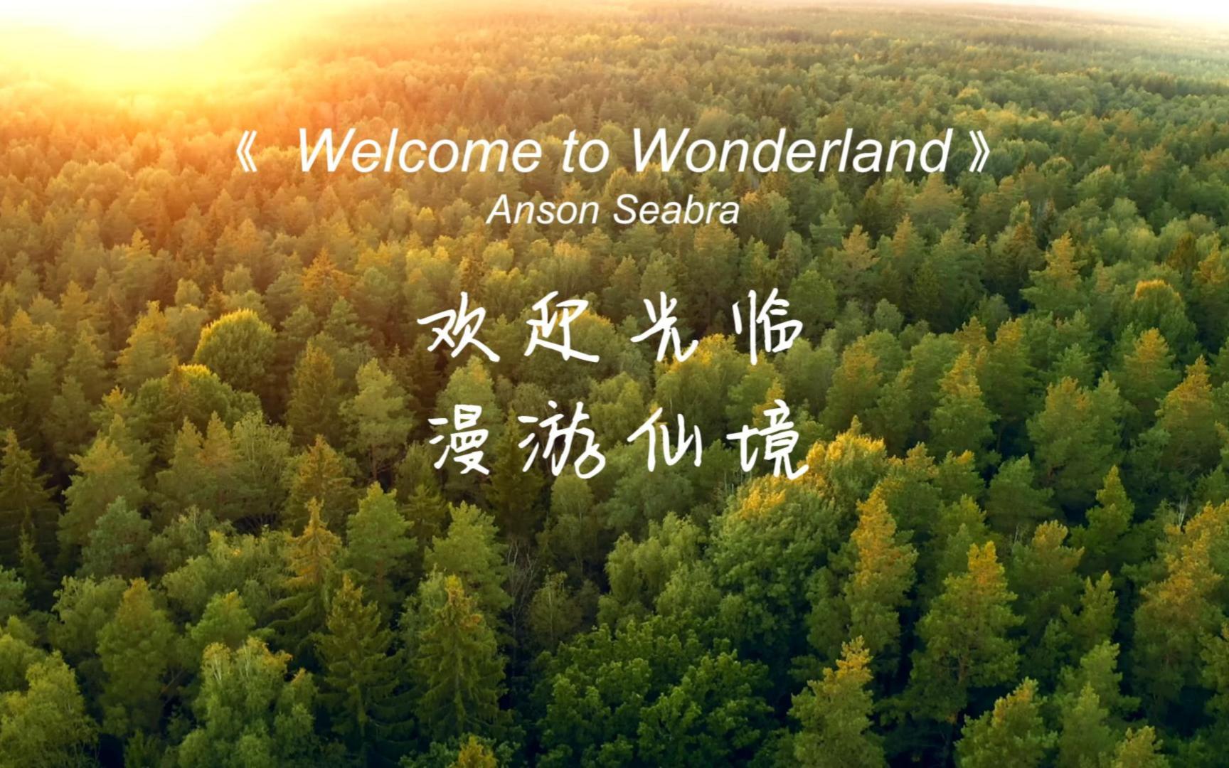 [图]《Welcome to Wonderland》像在念一首舒缓的诗，脑海中浮现如仙境般的画面，有种娓娓道来的怀念