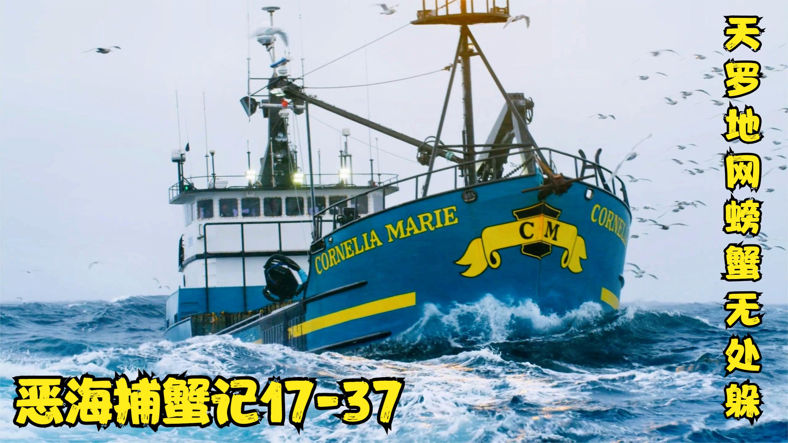 恶海捕蟹记 白令海峡船长为捕捞螃蟹亮绝技,蟹笼都收获满满雪蟹