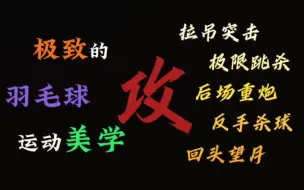 下载视频: 极致的羽毛球美学【进攻】