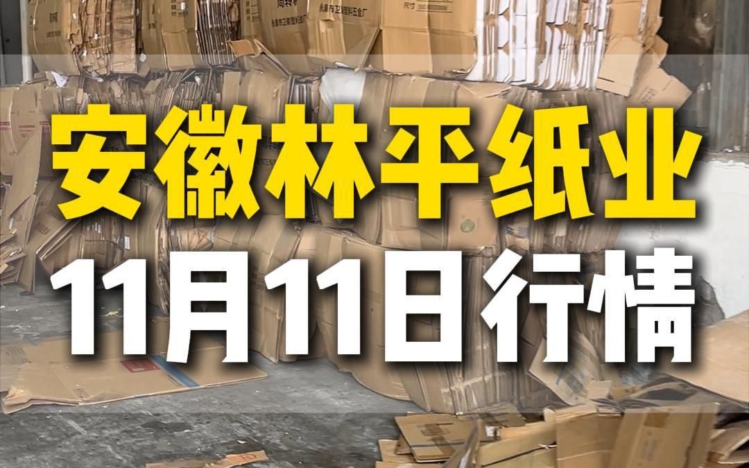 11月11日安徽宿州鑫光纸业今日行情参考哔哩哔哩bilibili