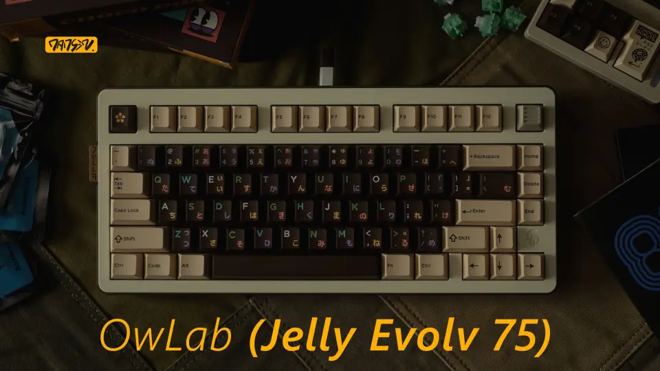 祝我生日快乐！丨OwLab Jelly Evolv 75丨瑾瑜轴v3丨Glove Domikey 甜甜 