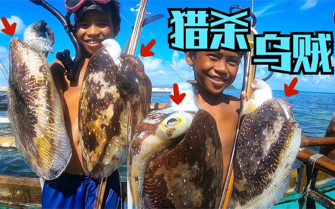 东南亚赶海抓乌贼,当地渔民小伙潜水猎杀墨鱼,抓稀有乌贼很少见