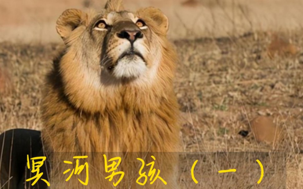 悲情狮王 冥河男孩(一)
