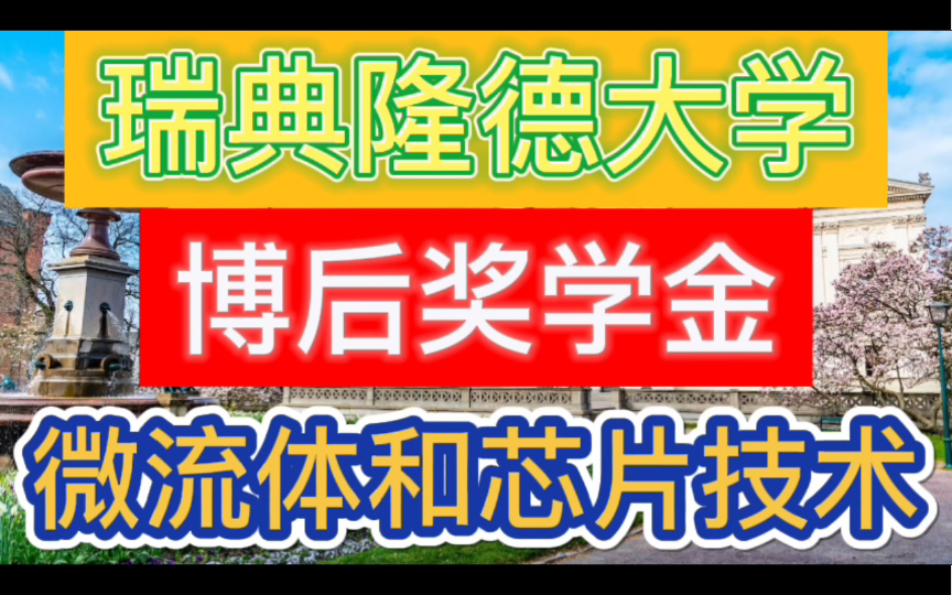 博后职位—瑞典—隆德大学—生物医学工程专注于微流体和芯片技术哔哩哔哩bilibili