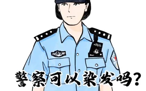 警察可以染发吗?哔哩哔哩bilibili