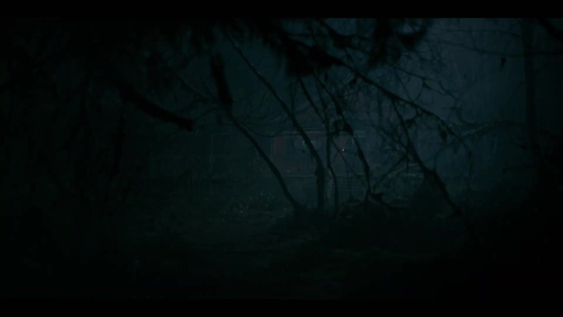 《隔山有眼》导演亚历山大·阿嘉执导 哈莉贝瑞主演 恐怖电影《绝不