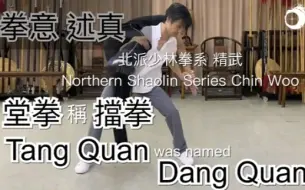 Download Video: 【搬运】华艺精武-北派少林拳系 精武-堂拳 称 挡拳