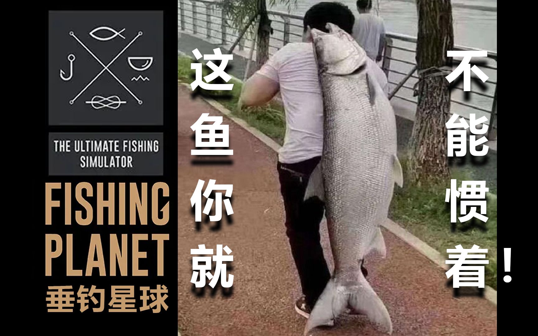 【垂钓星球(Fishing Planet)】当你厌倦了不停的战斗,那你一定要来试试这款游戏,在那里你可以体验宁.#UP主启航计划#哔哩哔哩bilibili