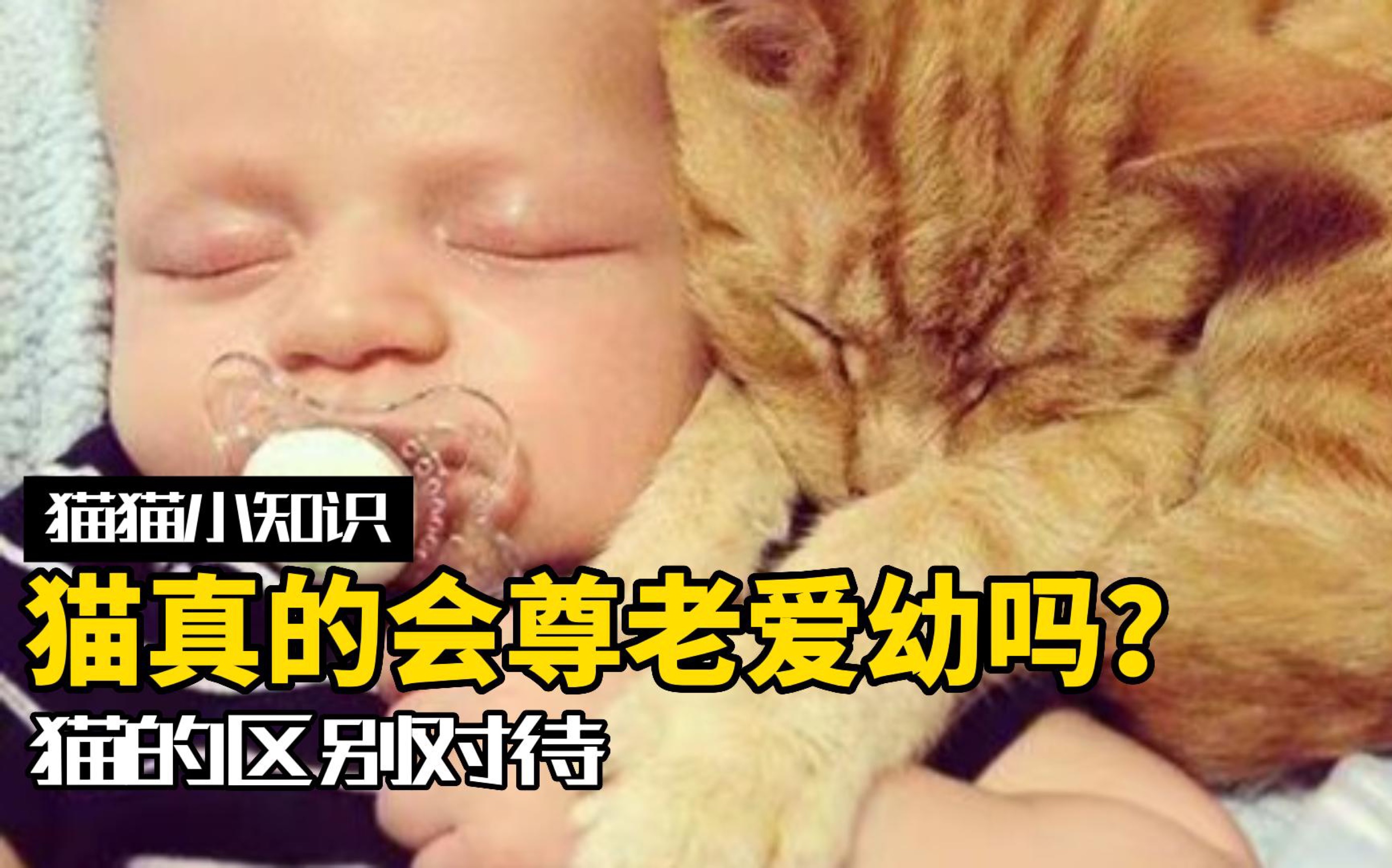 [图]猫真的会双标吗？尊老爱幼，中间暴揍？