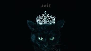 Aimer BEST ALBUM blanc タワーレコードver Aimer / BEST SELECTION ”blanc／noir”（通常盤） [CDセット