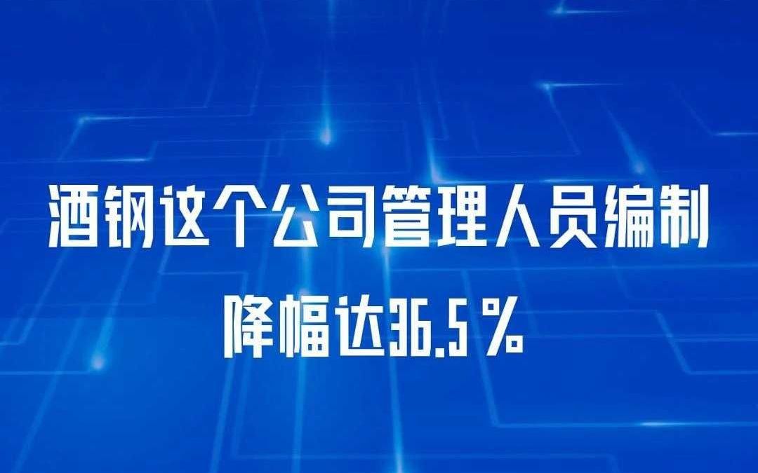 酒钢这个公司管理人员编制降幅达36.5%哔哩哔哩bilibili