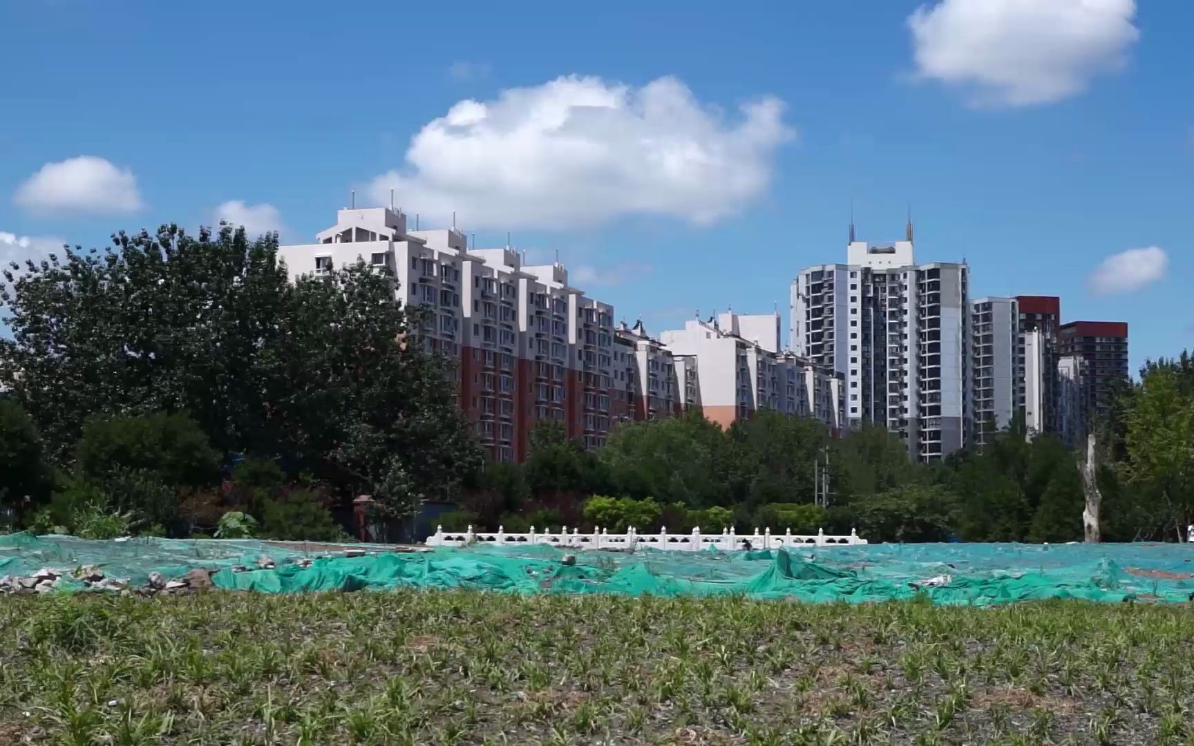 路过北京朝阳南楼梓庄路口,风和日丽真美!