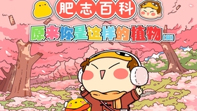 秘密結社鷹之爪第01話 黃金咒語 Muse木棉花新番動畫 哔哩哔哩 つロ干杯 Bilibili 秘密結社鷹之爪第01話 黃金咒語 Muse木棉花新番動畫 哔哩哔哩 つロ干杯 Bilibili